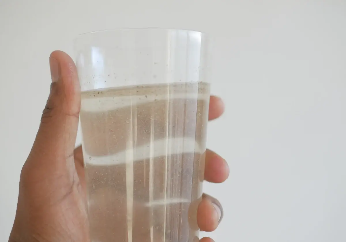 Bronx Schools Need Stronger Drinking Water Testing Programs